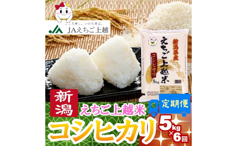 令和6年 新米 新潟県産コシヒカリ えちご上越米　定期便 【6ヶ月連続お届け】5kg×6回 30kg 新潟 米 新潟県 こしひかり 限定 おすすめ　定期便　お届け：寄附の入金の翌月より計6回、毎月中旬ごろに発送いたします。