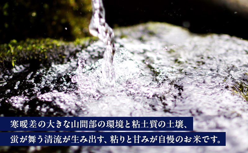 新潟県産コシヒカリ おおしま育ち 精米10kg入（5kg×2）上越市 お米 米 お取り寄せ