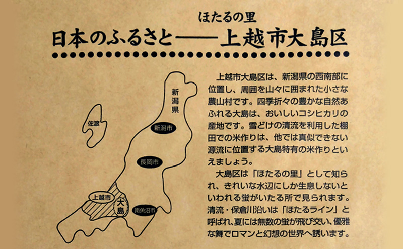 新潟県産コシヒカリ おおしま育ち 精米10kg入（5kg×2）上越市 お米 米 お取り寄せ