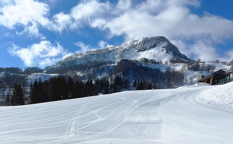 ãã¥ãŒããããã¬ã€ 2025-2026ã·ãŒãºã³ æž©æ³å
¥å Žåžä»ã ãªãã1æ¥åžåŒæåž æ°æœç äžè¶åž æ
è¡ ã¹ããŒã¹ããŒããŒã ãªããåž