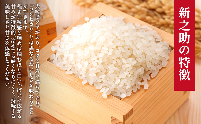 【10月中旬より順次出荷】新潟県上越市産　特別栽培米 新之助 令和7年産 5kg（5kg×1袋） ご飯 おにぎり