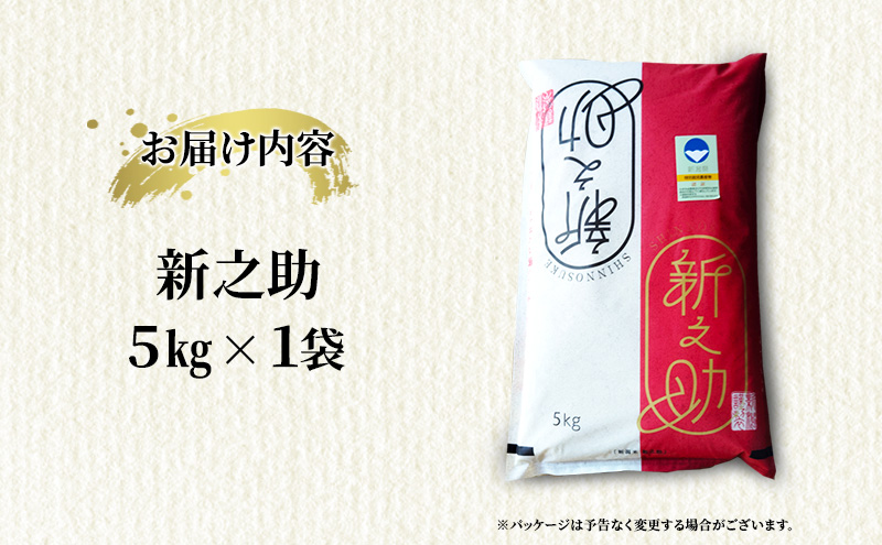 【10月中旬より順次出荷】新潟県上越市産　特別栽培米 新之助 令和7年産 5kg（5kg×1袋） ご飯 おにぎり