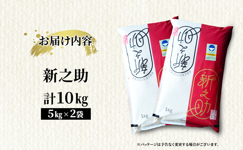新潟県上越市産　特別栽培米 新之助 令和7年産 10kg（5kg×2袋）ご飯 おにぎり