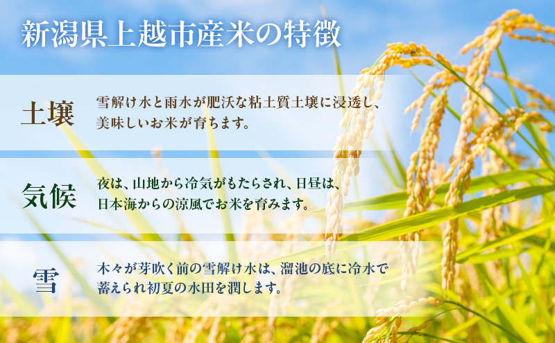 【新潟県　上越産】コシヒカリ5kg　閻魔大王の里で育まれたお米 上越市 精米 米
