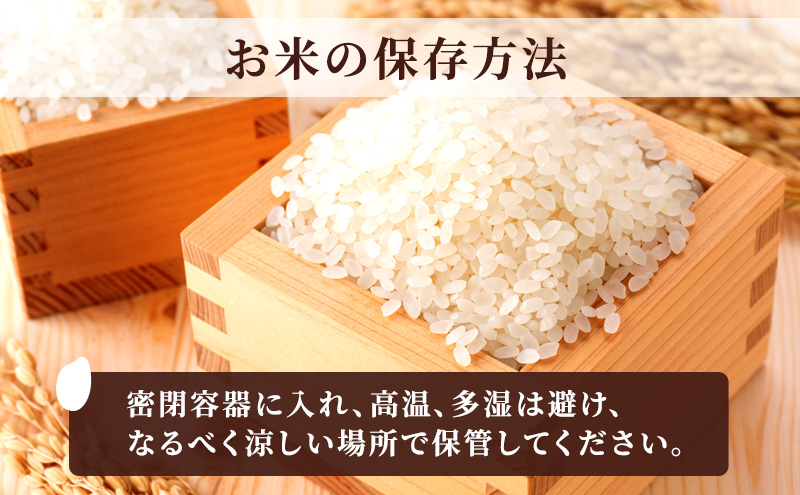 【新潟県　上越産】コシヒカリ5kg　閻魔大王の里で育まれたお米 上越市 精米 米