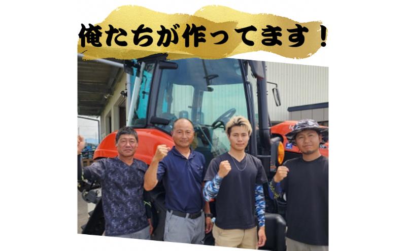 令和6年度産　上越市産コシヒカリ　10kg　新米　精米　新潟　米　新潟県　こしひかり　限定　おすすめ