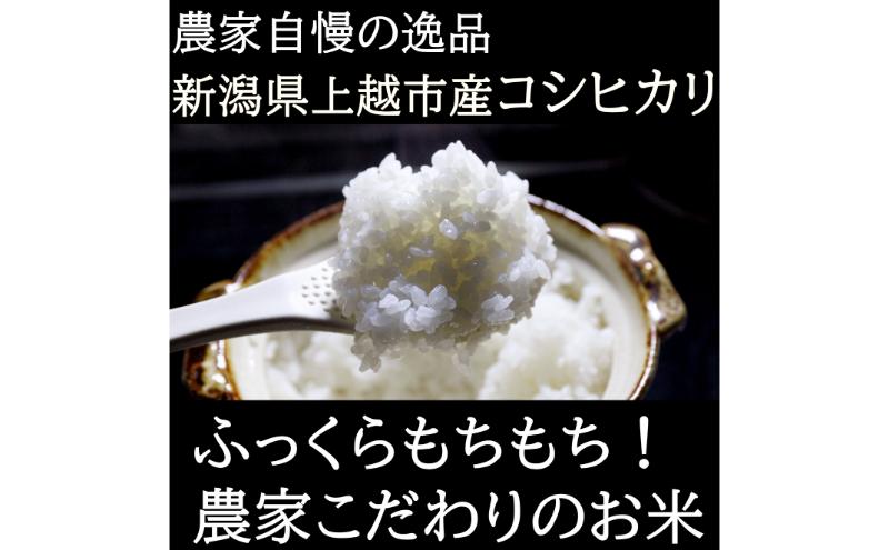 令和6年度産　上越市産コシヒカリ　10kg　新米　精米　新潟　米　新潟県　こしひかり　限定　おすすめ