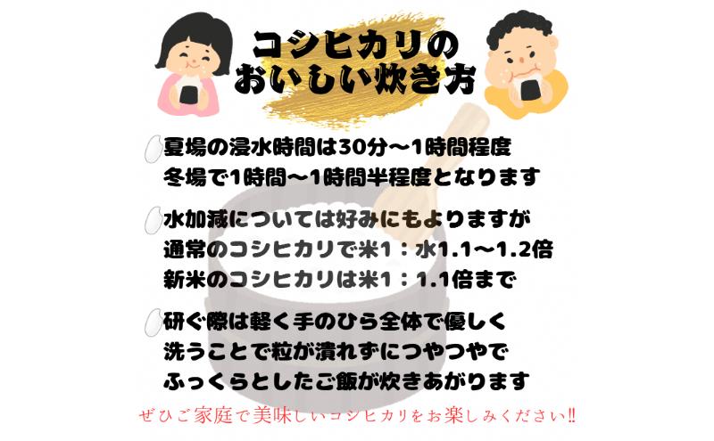 令和6年度産　上越市産コシヒカリ　10kg　新米　精米　新潟　米　新潟県　こしひかり　限定　おすすめ