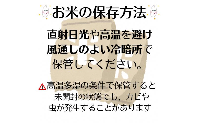 令和6年度産　上越市産コシヒカリ　10kg　新米　精米　新潟　米　新潟県　こしひかり　限定　おすすめ