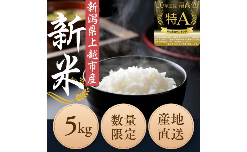 令和6年度産　上越市産コシヒカリ　5kg　新米　精米　新潟　米　新潟県　こしひかり　限定　おすすめ