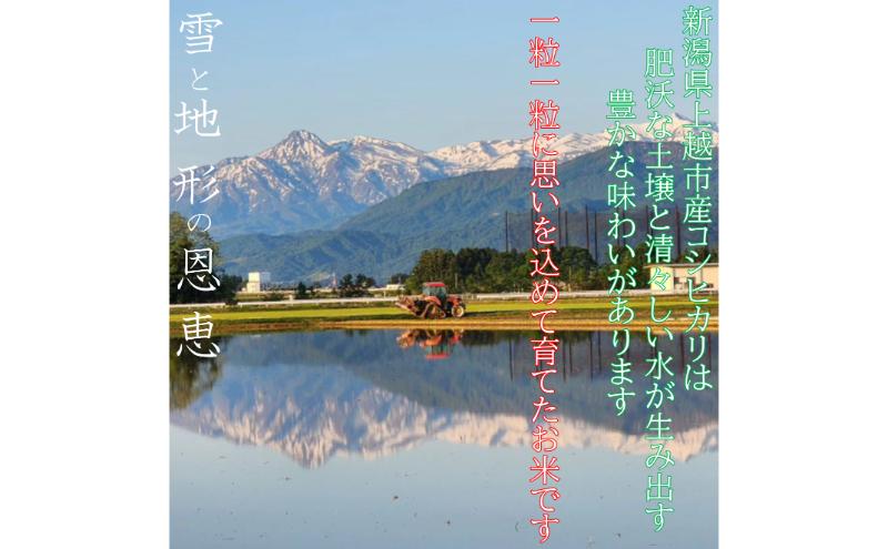 令和6年度産　上越市産コシヒカリ　5kg　新米　精米　新潟　米　新潟県　こしひかり　限定　おすすめ