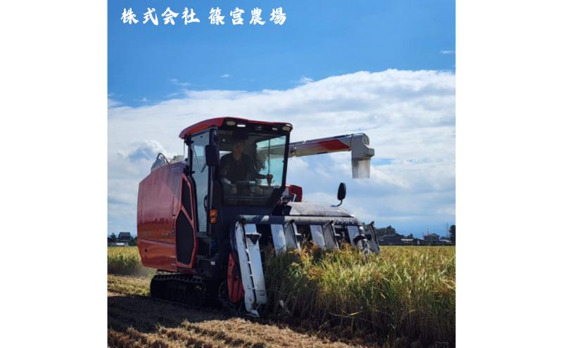 令和6年度産　上越市産コシヒカリ　5kg　新米　精米　新潟　米　新潟県　こしひかり　限定　おすすめ