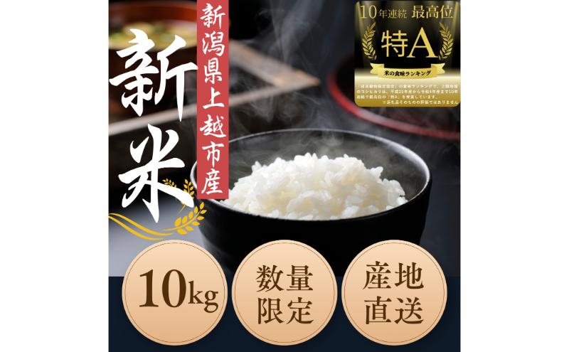 令和6年度産　上越市産コシヒカリ　10kg　新米　精米　新潟　米　新潟県　こしひかり　限定　おすすめ