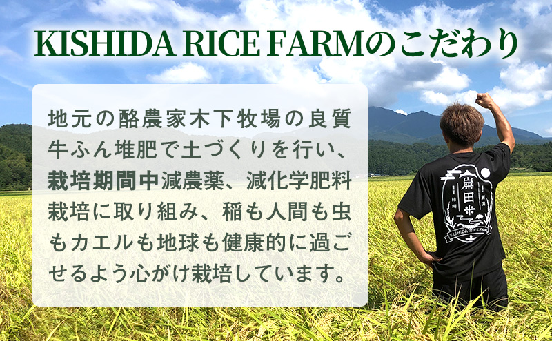 新潟県産新之助 霊峰米山 お米のお山のふもとから 上越柿崎 岸田米 新之助（ぼくらのMaiMaiMaiバージョン） 白米5kg 米 名水 こめ おすすめ 人気 ふるさと納税 新潟 新潟県産 にいがた 上越 上越産