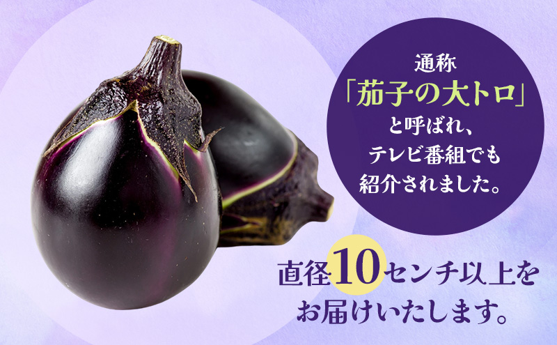 【新潟県上越市産】茄子の大トロ　越の丸茄子2kg詰め（9個入） ナス 丸茄子 野菜 新潟 上越