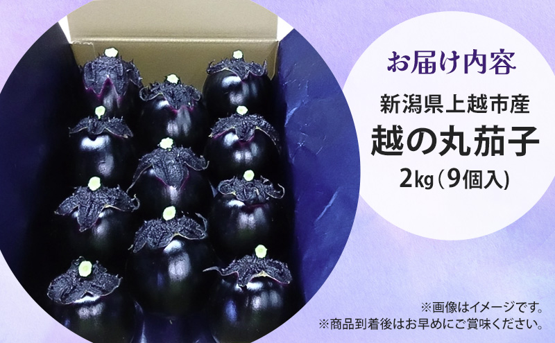 【新潟県上越市産】茄子の大トロ　越の丸茄子2kg詰め（9個入） ナス 丸茄子 野菜 新潟 上越