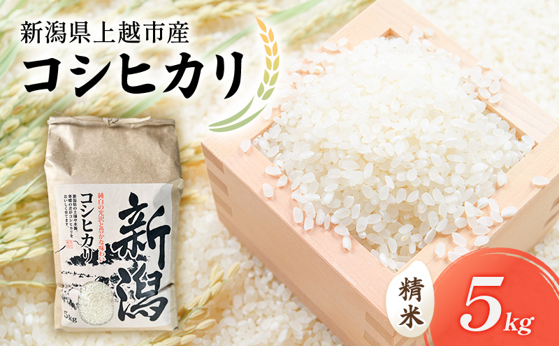 新米 令和7年 新潟県上越市産 コシヒカリ（特別栽培米） 5kg 5キロ 米 こしひかり 山本農園 ご飯 精米 新潟 上越