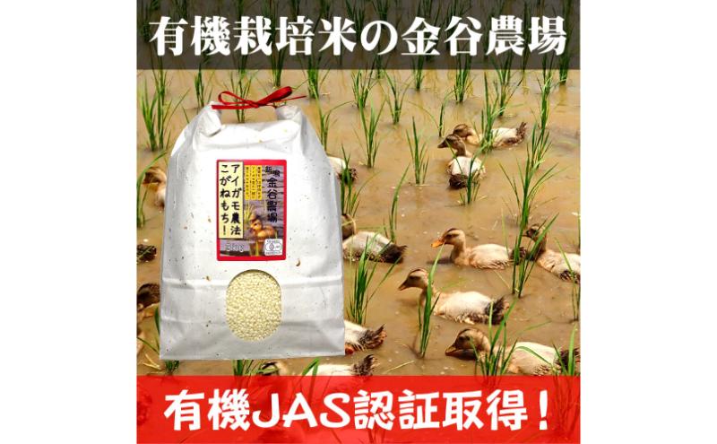 令和6年産 新潟県産アイガモ農法JAS有機栽培米こがねもち 白米3kg もち米 オーガニック 新潟