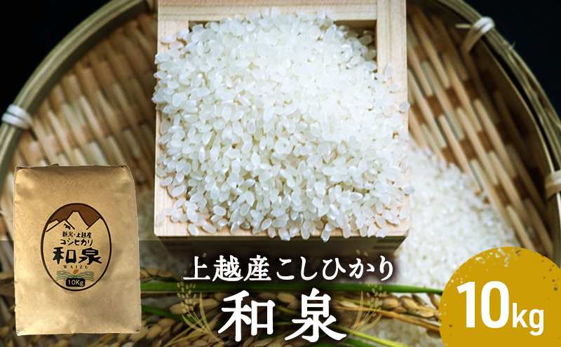 【令和6年産】上越産こしひかり『和泉』10kg 上越市 精米 米　　