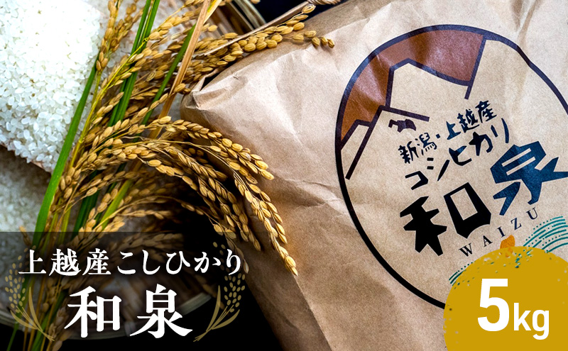 【令和6年産】上越産こしひかり『和泉』5kg 上越市 精米 米