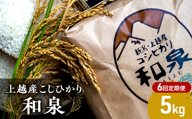 【令和6年産】上越産こしひかり『和泉』5kg 6回定期便 上越市 精米 米　