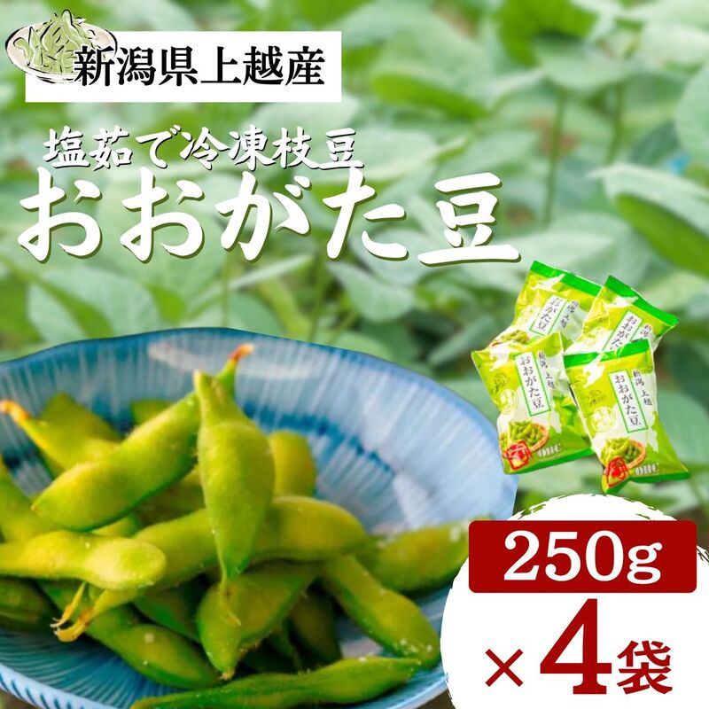塩茹で 冷凍 枝豆 おおがた豆 1kg 茶豆 えだまめ 濃厚な甘みと香り おつまみ 国産 新潟県 上越市産 送料無料