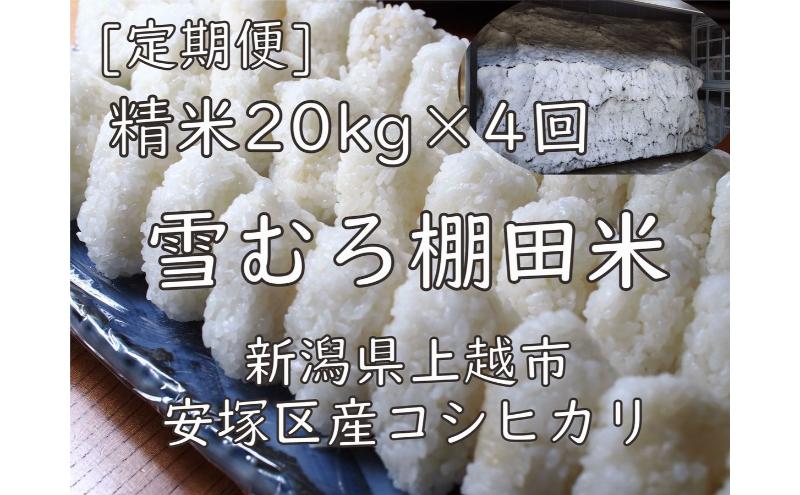 雪むろ棚田米コシヒカリ20kg精白米[定期便]毎月発送(計4回) 新潟県 上越市 新潟産 米 コメ