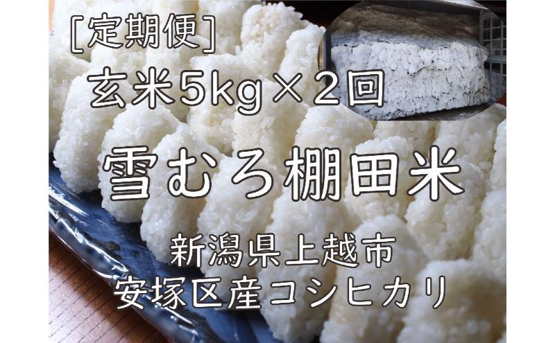 雪むろ棚田米コシヒカリ5kg玄米[定期便]毎月発送(計2回) 新潟県 上越市 新潟産 米 コメ