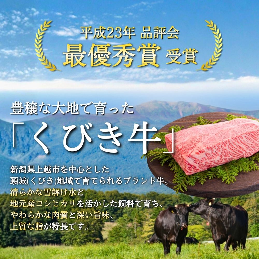 くびき牛 100％ ハンバーグ 10個 +岩の原赤ワインソース+ブルギニョンバター 冷凍 ソース付き 湯煎 湯せん 新潟 上越市 ごはんのお供 送料無料