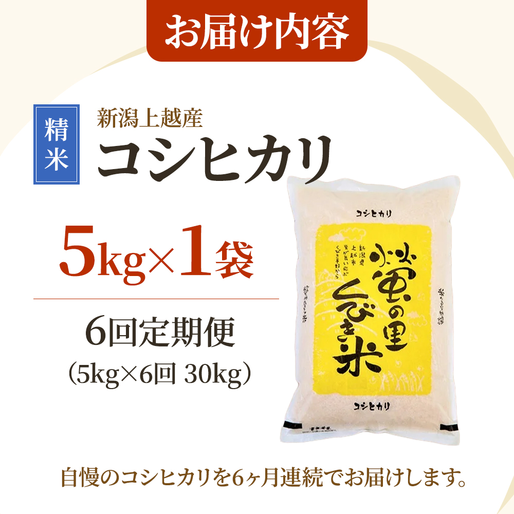 令和7年産 先行予約 新潟 コシヒカリ 定期便 新米 【6ヶ月連続お届け】5kg×6回 30kg 6か月 上越市 米 新潟県 こしひかり おすすめ 限定