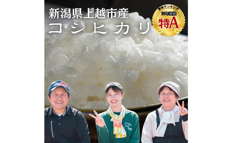 令和6年 新米 新潟県産コシヒカリ 5kg 上越市清里区 新潟 精米 白米 従来品種 希少 限定 おすすめ お届け：寄附の入金後、2週間程度で発送します