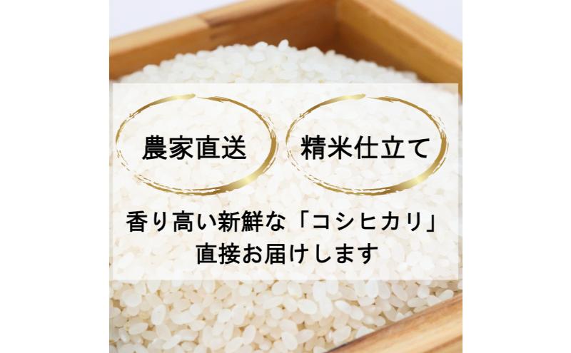 令和6年 新米 新潟県産コシヒカリ 5kg 上越市清里区 新潟 精米 白米 従来品種 希少 限定 おすすめ お届け：寄附の入金後、2週間程度で発送します