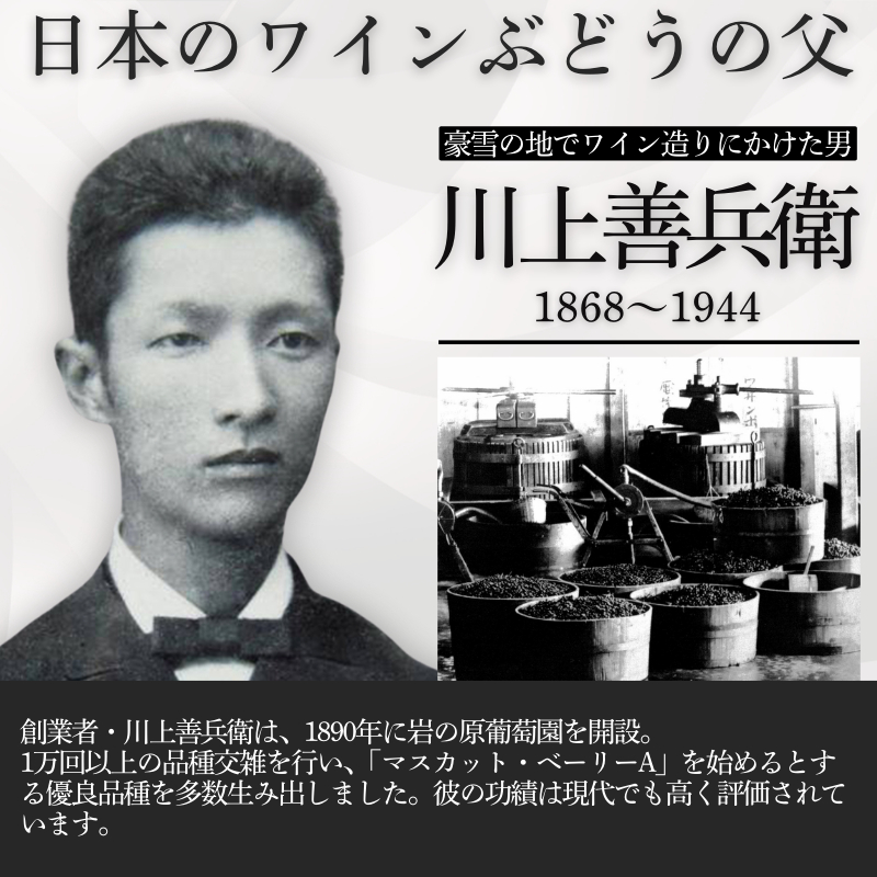 ワイン 岩の原ワイン代表ブランド 深雪花 赤 白 ロゼ 3本 セット （赤×1本、白×1本、ロゼ×1本 各720ml） お酒 岩の原 酒 ギフト 新潟 上越 最短3日で発送