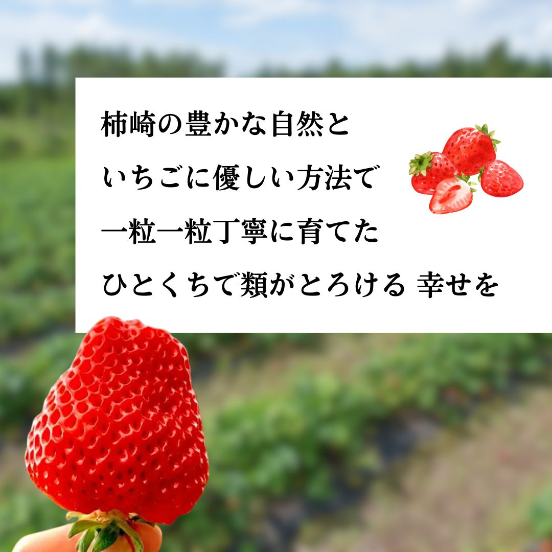 いちご 越後姫 ジャム 190g×2個 からだよろこぶ越後姫 イチゴ 苺 定植後化学農薬不使用 渡辺農園 上越市 新潟県