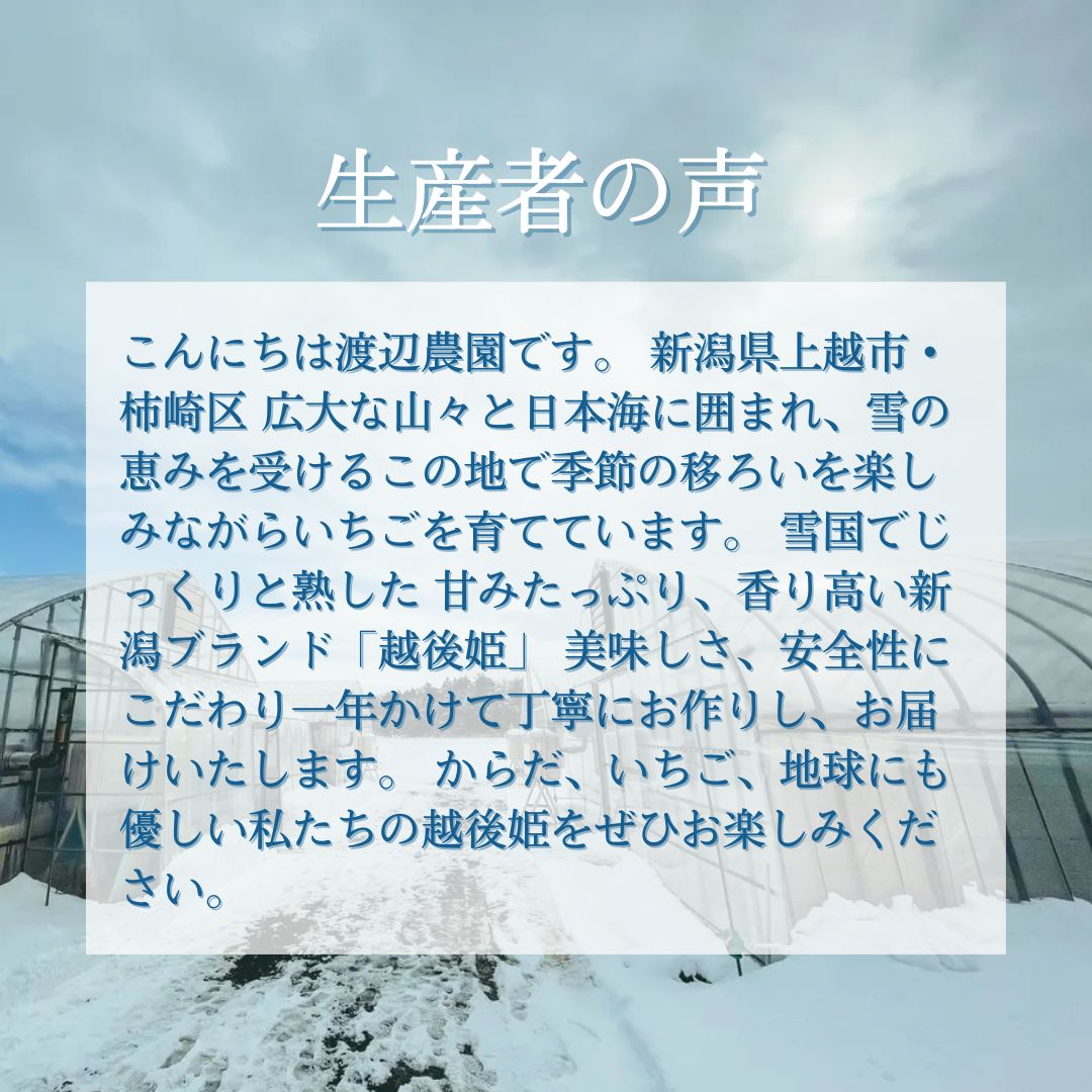 いちご 越後姫 ジャム 190g×2個 からだよろこぶ越後姫 イチゴ 苺 定植後化学農薬不使用 渡辺農園 上越市 新潟県