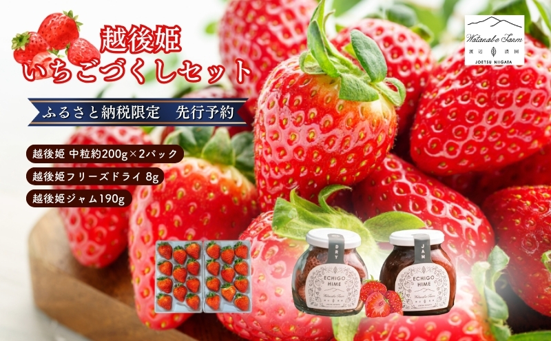 【ふるさと納税限定　先行予約で苺ジャムと苺のフリーズドライをセットにしました】越後姫 中粒 約200g×2パック (18～22粒入り)フリーズドライとジャムのセット イチゴ 苺 上越市 新潟