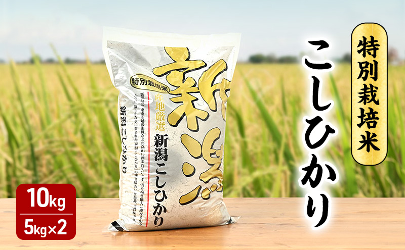 令和7年 新潟県産コシヒカリ 特別栽培米 10kg 10キロ 5kg×2 上越市 三和区神田 富永農産 有機肥料、自家製たい肥を使用し米つくり 送料無料