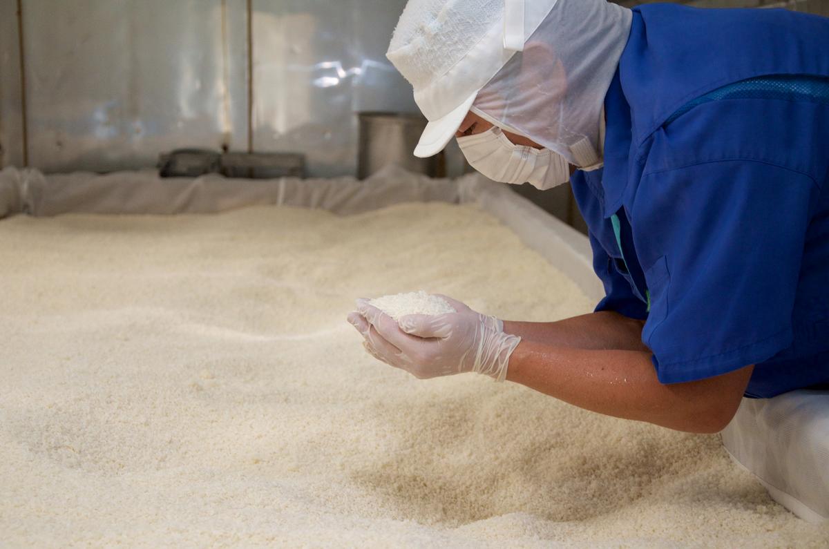 味噌 雪の花みそ 4kg【新潟の大豆とお米で仕込んだ越後上越伝統の浮き糀みそ】