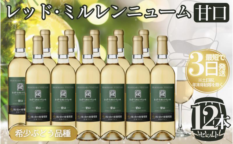 ワイン 岩の原ワイン レッド・ミルレンニューム 12本 720ml 希少ぶどう品種 甘口 お酒 希少 ぶどう 岩の原 新潟 上越 最短3日で発送 お届け：7日以内にお届けします。
