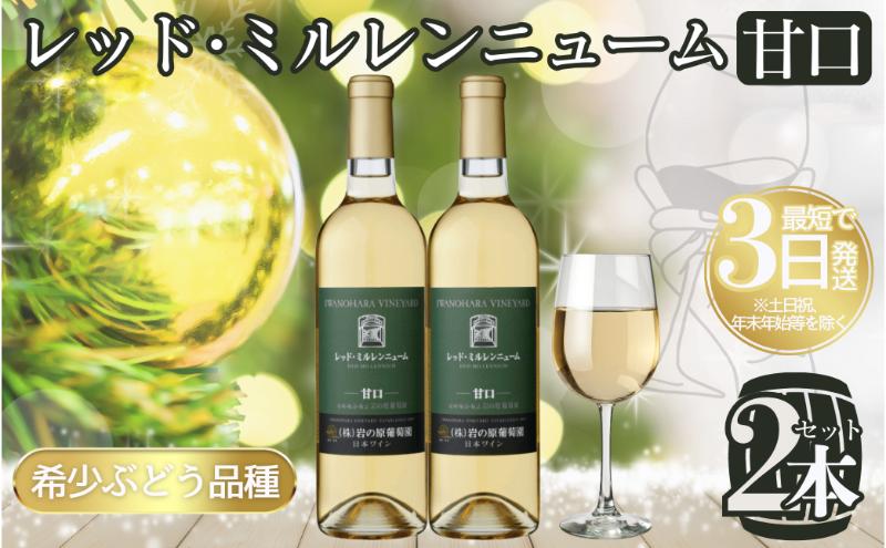 ワイン 岩の原ワイン レッド・ミルレンニューム 2本 720ml 希少ぶどう品種 甘口 お酒 希少 ぶどう 岩の原 新潟 上越 最短3日で発送 お届け：7日以内にお届けします。