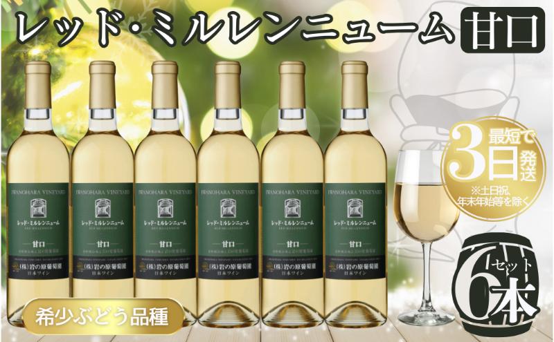 ワイン 岩の原ワイン レッド・ミルレンニューム 6本 720ml 希少ぶどう品種 甘口 お酒 希少 ぶどう 岩の原 新潟 上越 最短3日で発送 お届け：7日以内にお届けします。