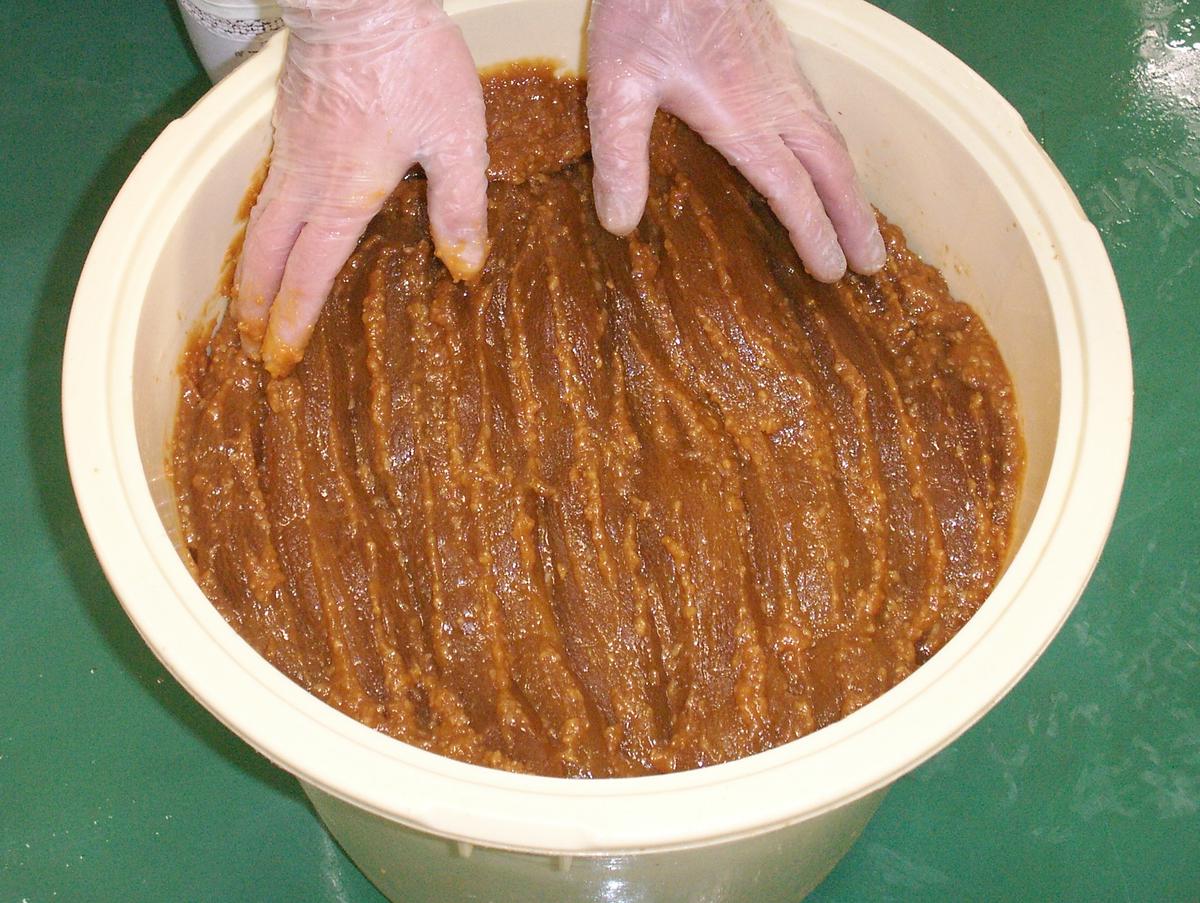 味噌 江戸文化年間創業 味噌蔵伝統の浮き糀みそと手づくりみそ漬セット 味噌漬 米糀味噌 米味噌 国産 杉田味噌 上越
