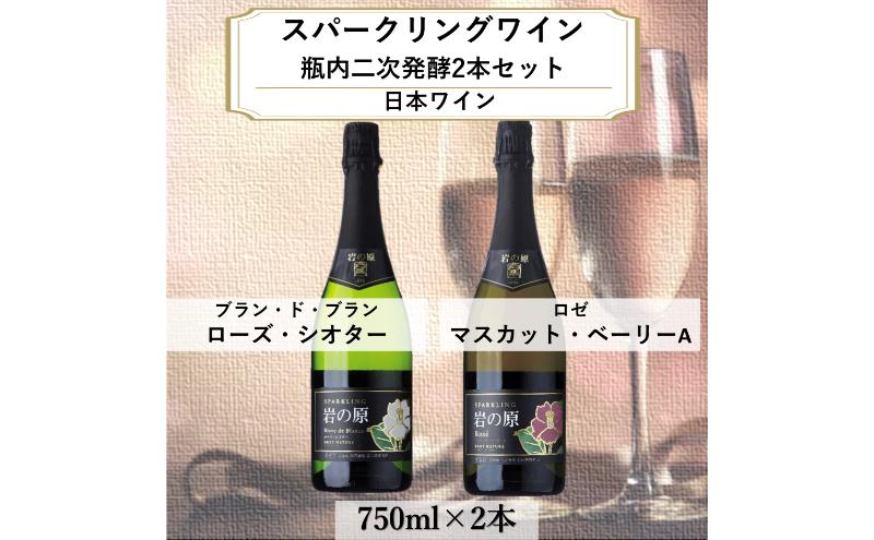 ワイン 岩の原スパークリングワイン 瓶内二次発酵２本セット （750ml） 酒 ギフト 新潟 上越