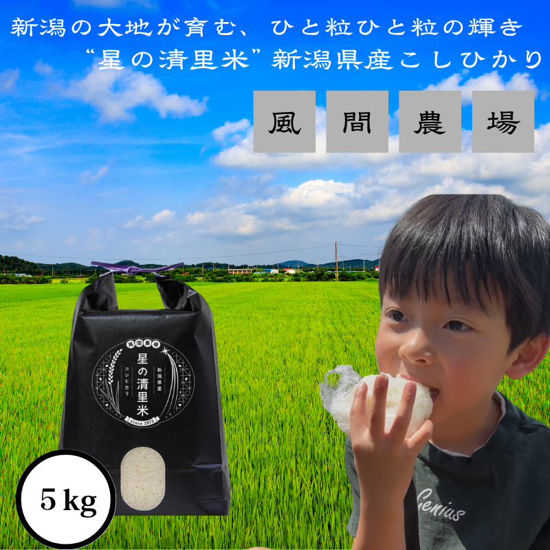 【10月中旬より順次出荷】令和7年度産　新潟県上越市産　従来コシヒカリ　精米済5kg こしひかり お米 米 精米 新潟県 上越市