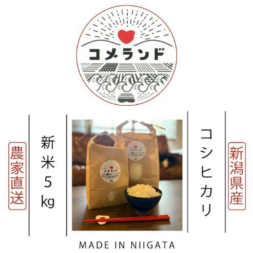 令和6年産 上越市産 コシヒカリ 5kg 新米 精米 新潟 米 新潟県 こしひかり 限定 おすすめ