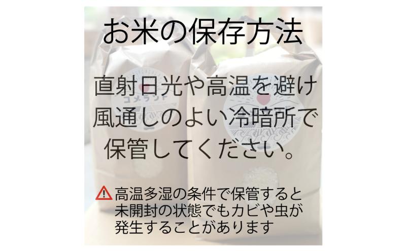 令和6年産 上越市産 コシヒカリ 5kg 新米 精米 新潟 米 新潟県 こしひかり 限定 おすすめ