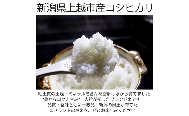 令和6年産 上越市産 コシヒカリ 5kg 新米 精米 新潟 米 新潟県 こしひかり 限定 おすすめ