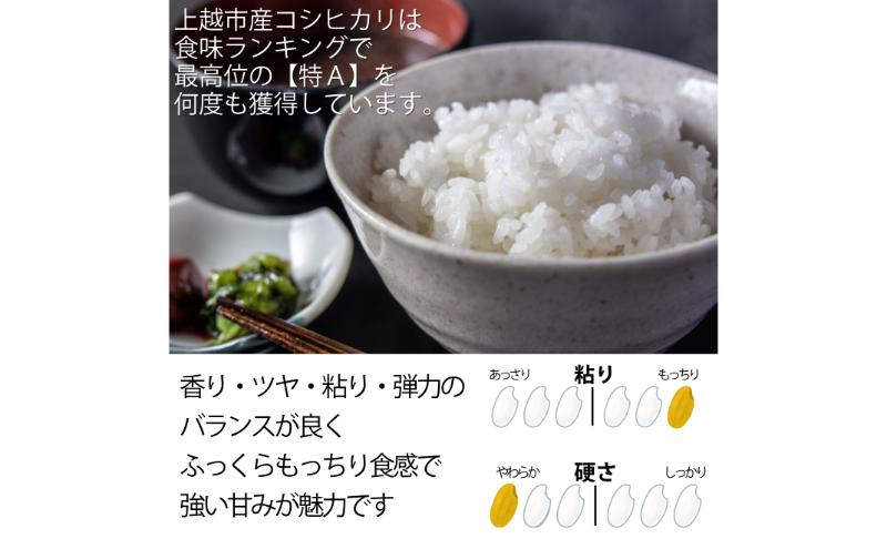 令和6年産 上越市産 コシヒカリ 5kg 新米 精米 新潟 米 新潟県 こしひかり 限定 おすすめ