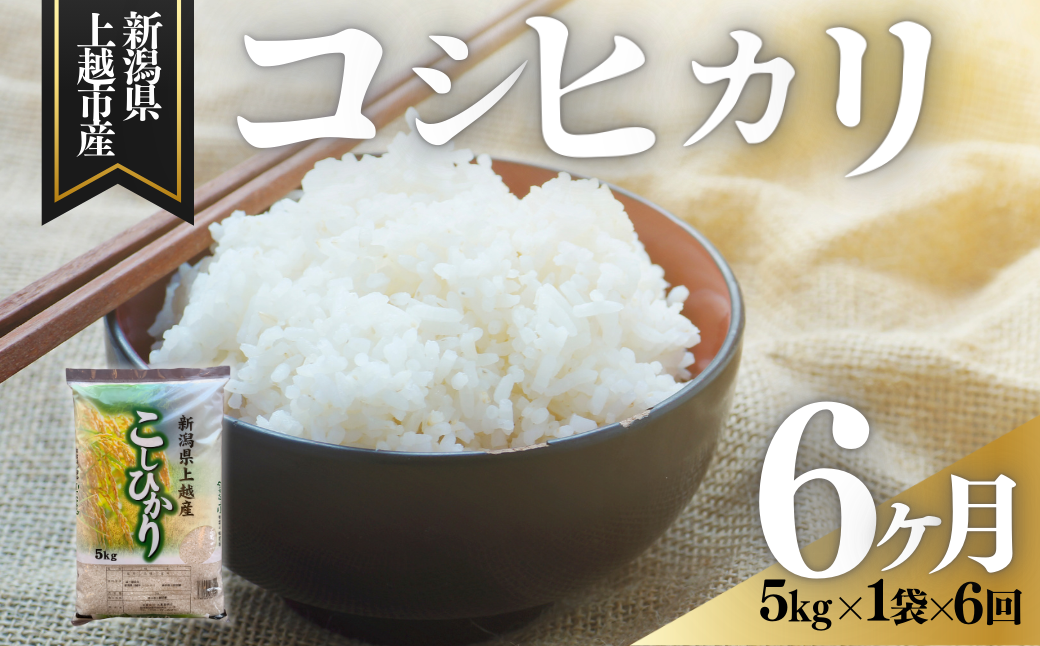 上越市産 新潟 コシヒカリ 5kg 6か月定期便 こしひかり お米 精米 米 ご飯 定期