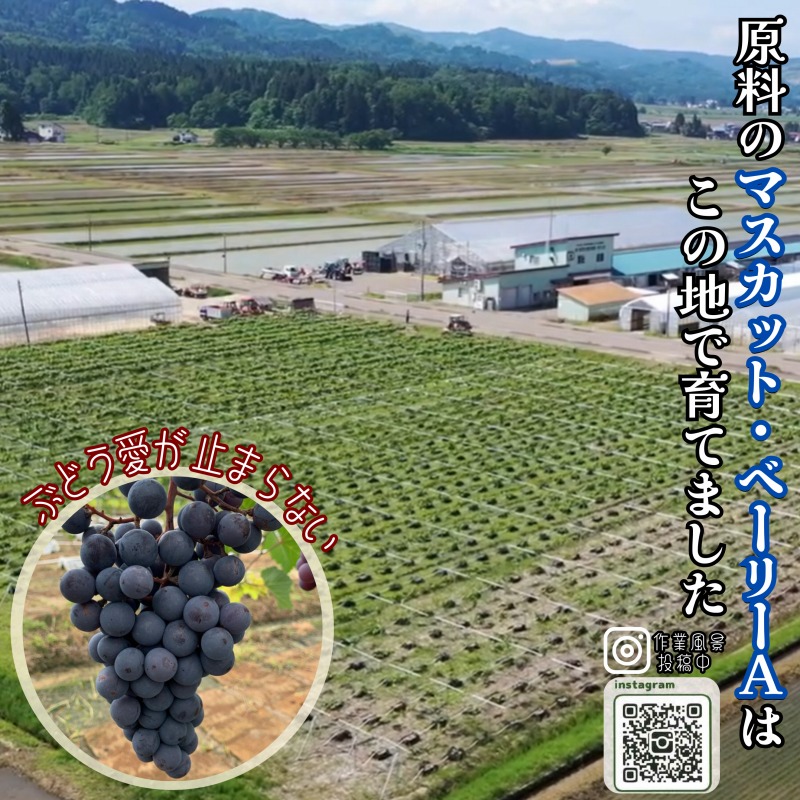 ワイン/清里夢遊（赤・ロゼ）2本セット/各750ml/原料マスカットベーリーＡ100％/新潟県上越市産